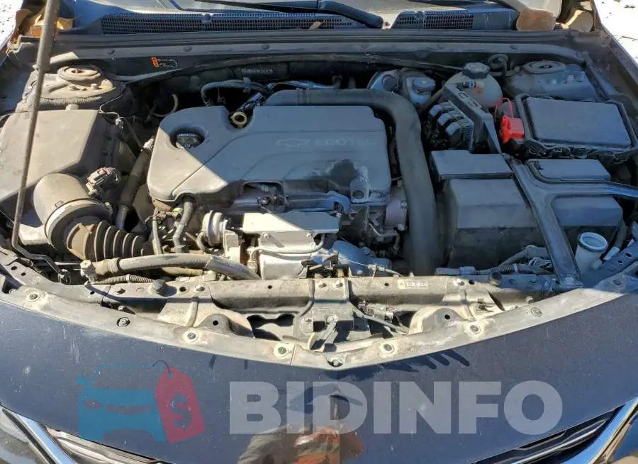 1G1ZB5ST5HF281557 Photo# 11