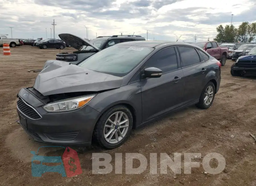 1FADP3F27GL277251 Photo# 1