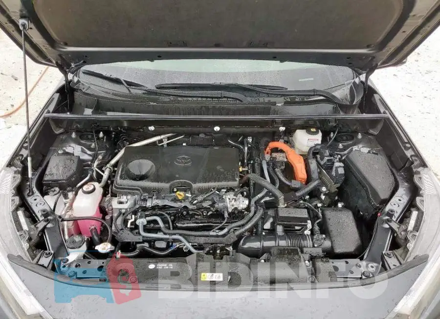 JTME6RFV4RD550898 Photo# 12