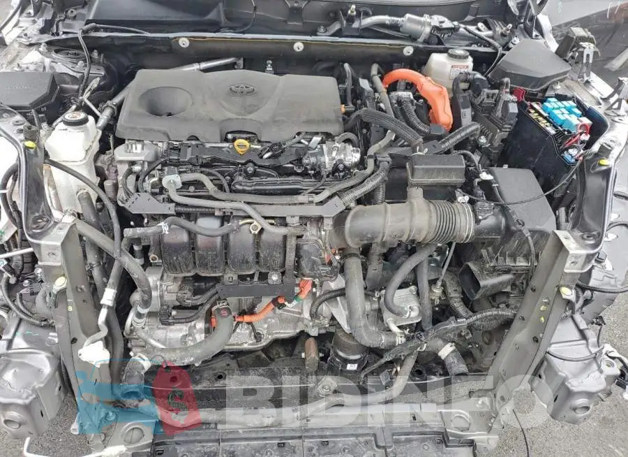 JTME6RFV8PJ036440 Photo# 12
