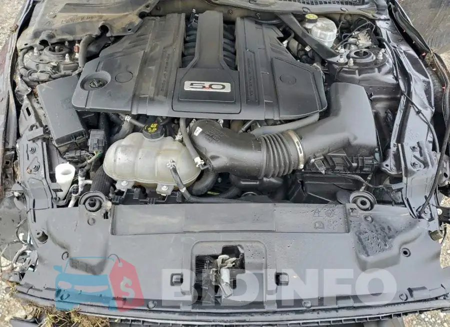 1FA6P8CFXP5304542 Photo# 11