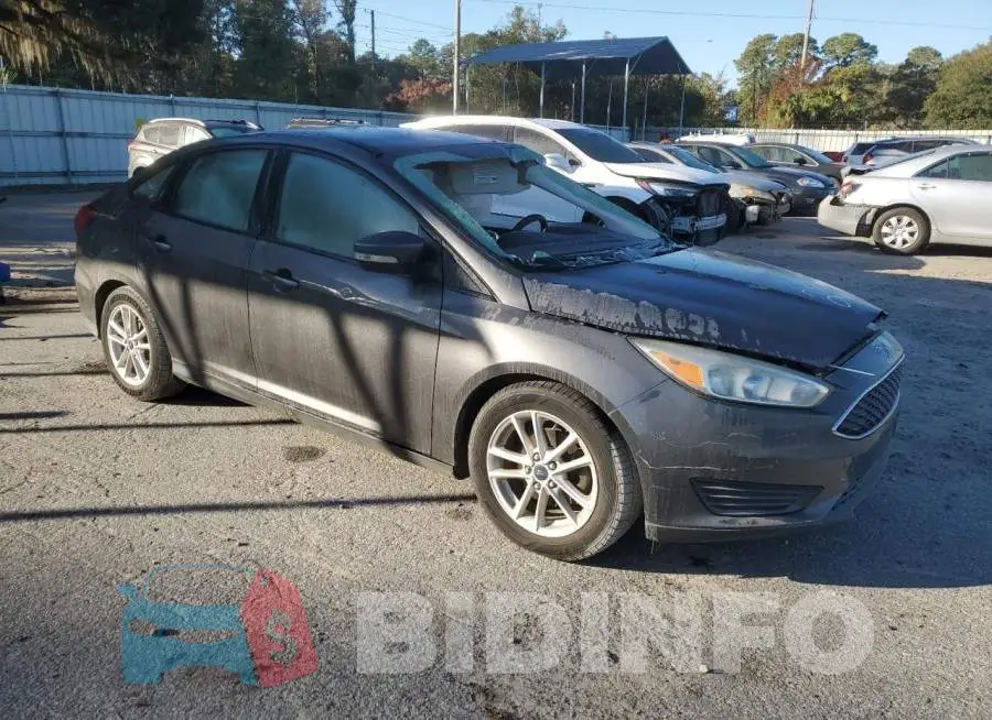 1FADP3F20GL264079 Photo# 4