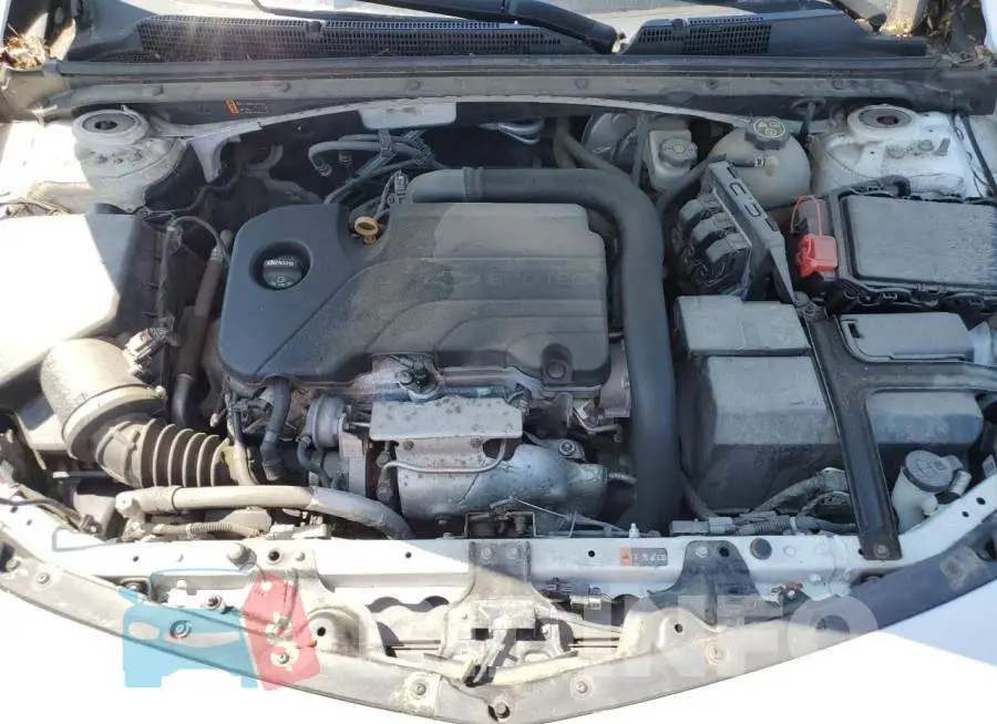 1G1ZB5ST6HF226261 Photo# 11
