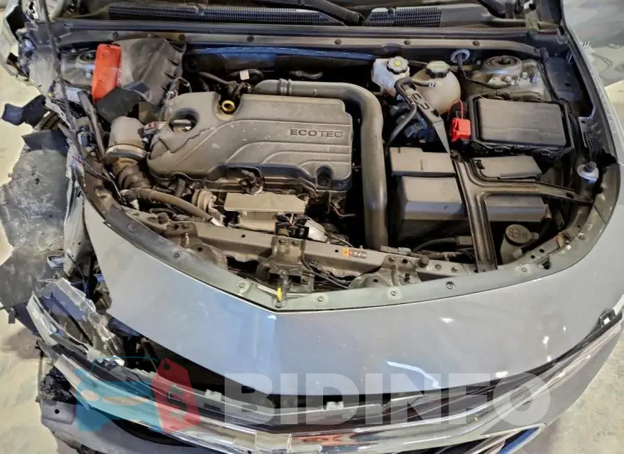 1G1ZD5ST0RF225604 Photo# 11