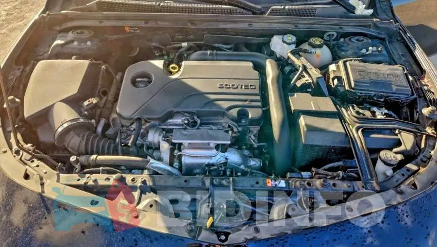 1G1ZD5ST5PF167051 Photo# 11