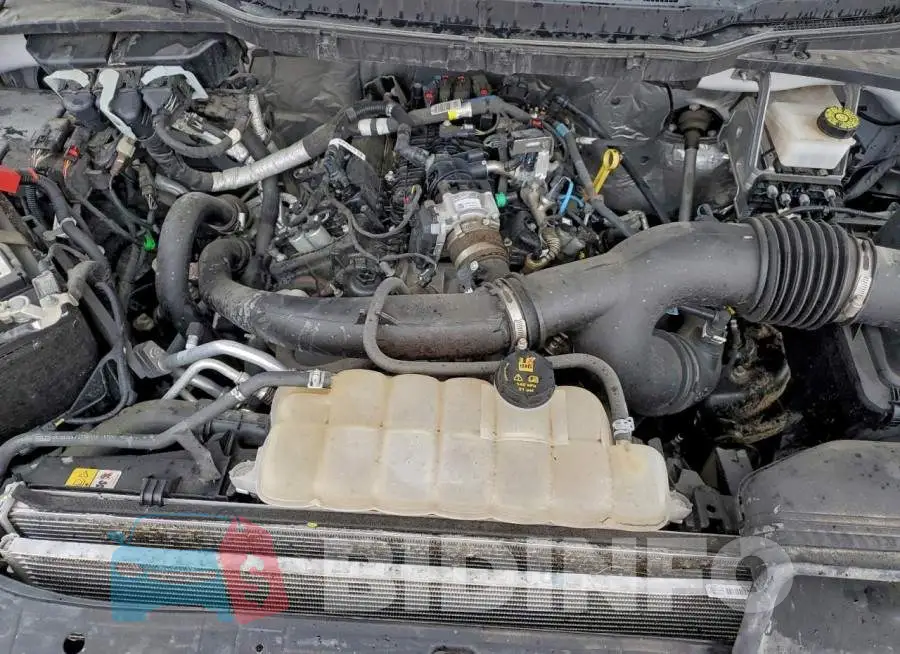 1FTEW1EP4PFB87010 Photo# 11