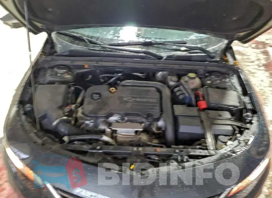1G1ZB5ST2HF175261 Photo# 11