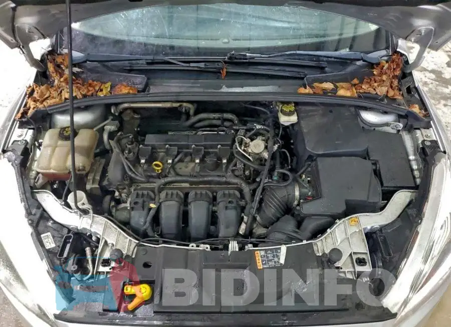 1FADP3E24HL302884 Photo# 11