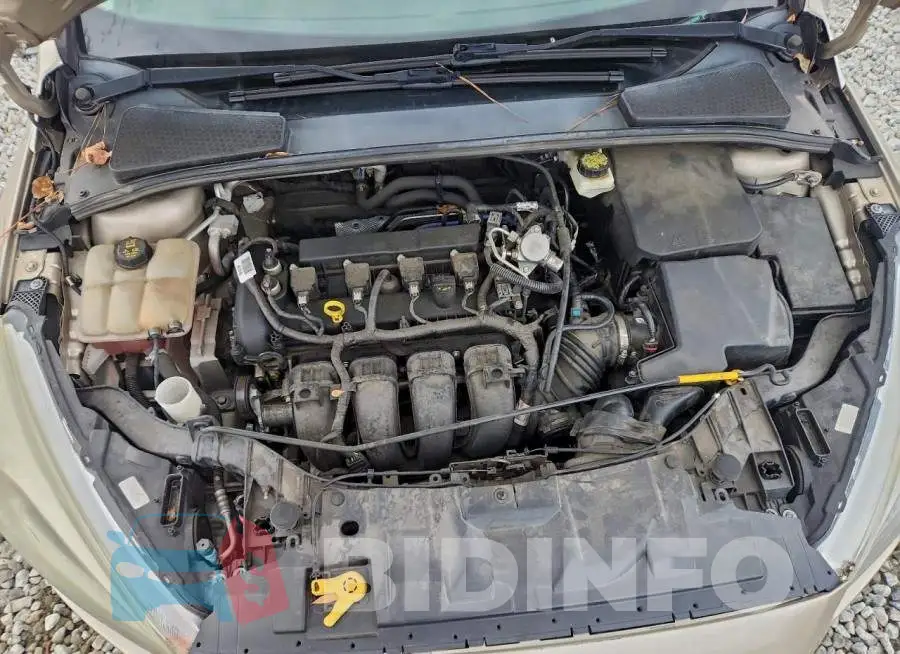 1FADP3F2XHL205087 Photo# 11