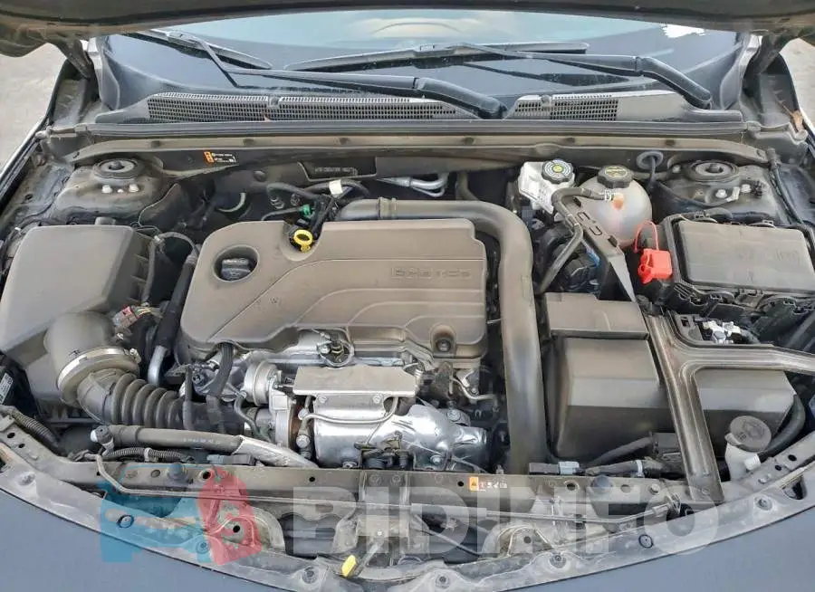 1G1ZG5ST5RF186273 Photo# 11