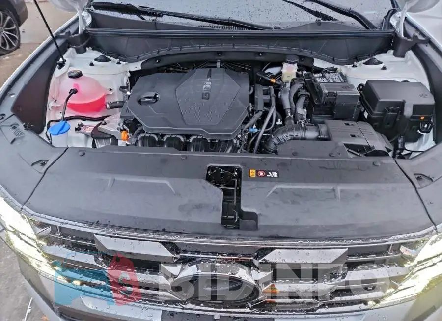 5NMJECDE1SH592881 Photo# 12