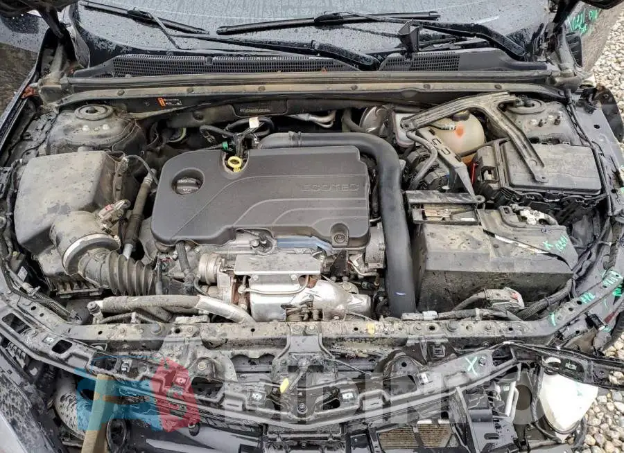 1G1ZD5ST5NF129364 Photo# 11