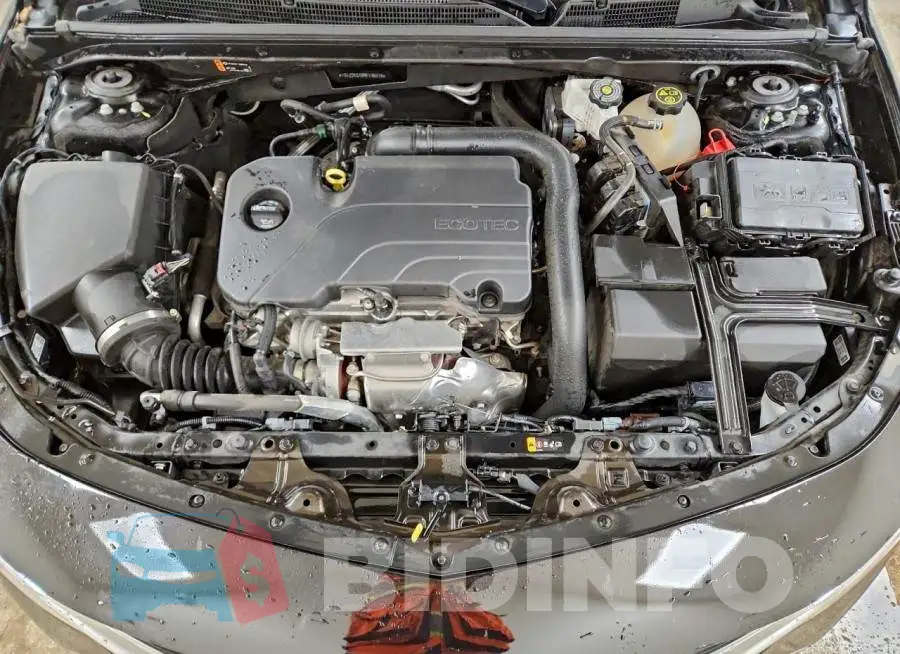 1G1ZD5ST8RF136816 Photo# 11