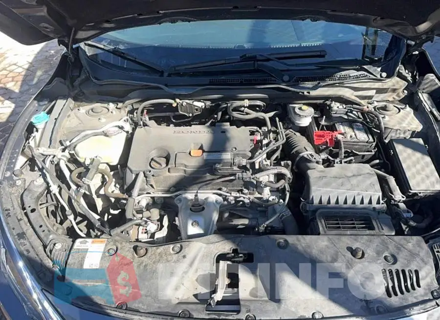 2HGFC2F52HH550521 Photo# 7