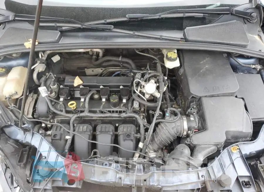 1FADP3M28JL245547 Photo# 12