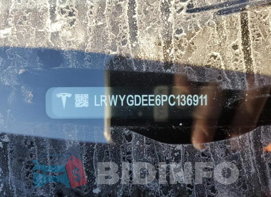 LRWYGDEE6PC136911 Photo# 13
