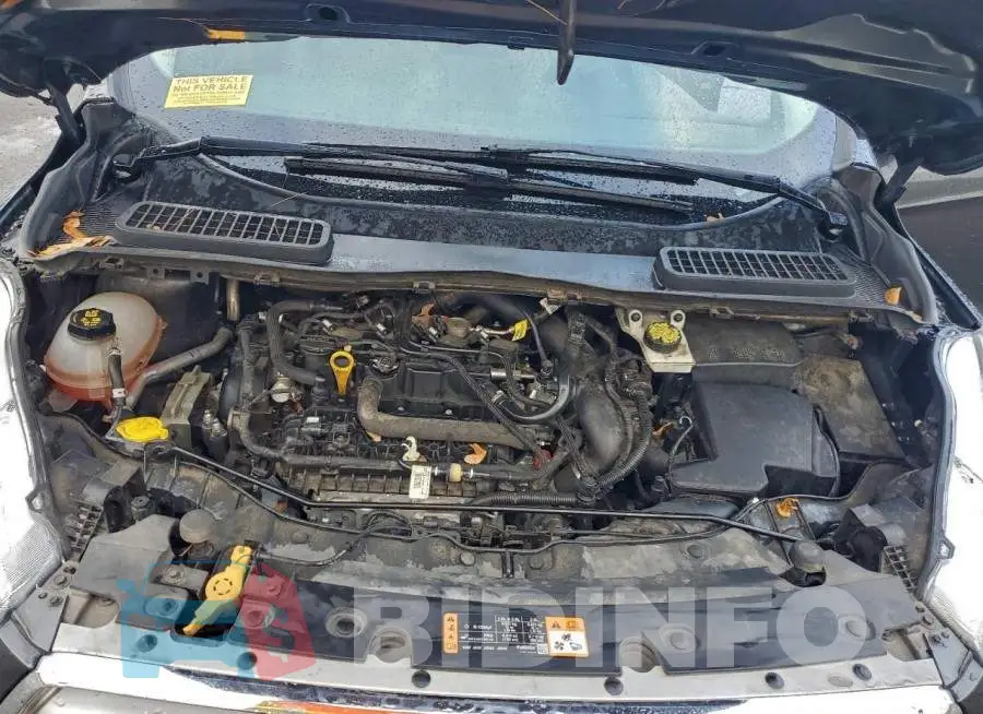 1FMCU0GD5KUB45858 Photo# 11