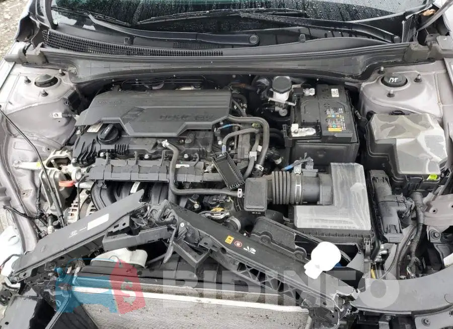 KMHLM4DG3RU653407 Photo# 11