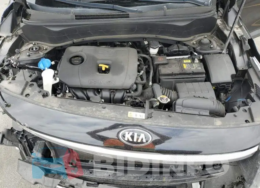 KNDERCAA2M7165159 Photo# 12
