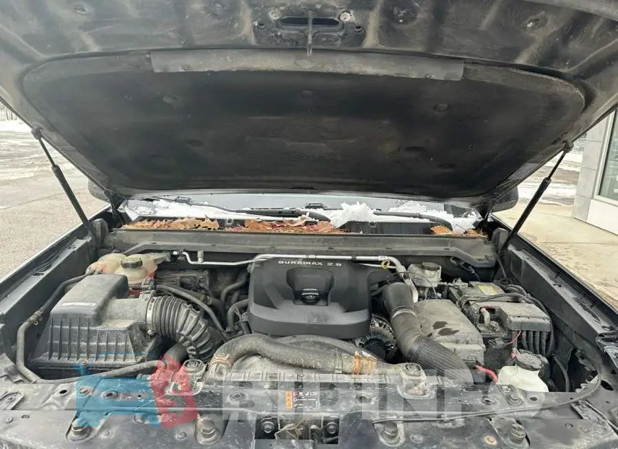1GCPTDE1XH1141016 Photo# 7