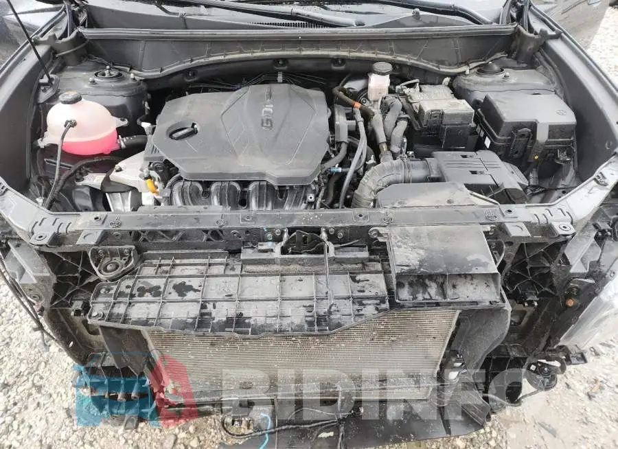 5NMJB3AE7PH240621 Photo# 12
