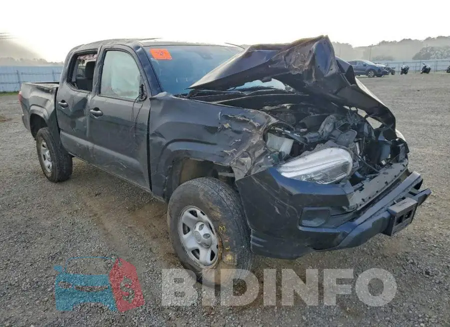 3TMCZ5AN6MM425638 Photo# 4