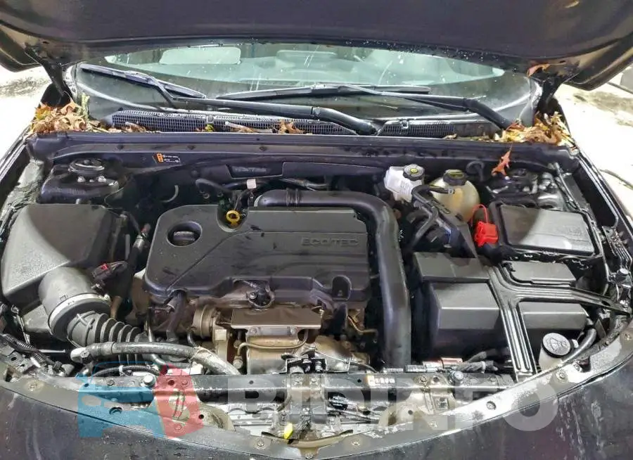 1G1ZD5ST1SF130328 Photo# 11