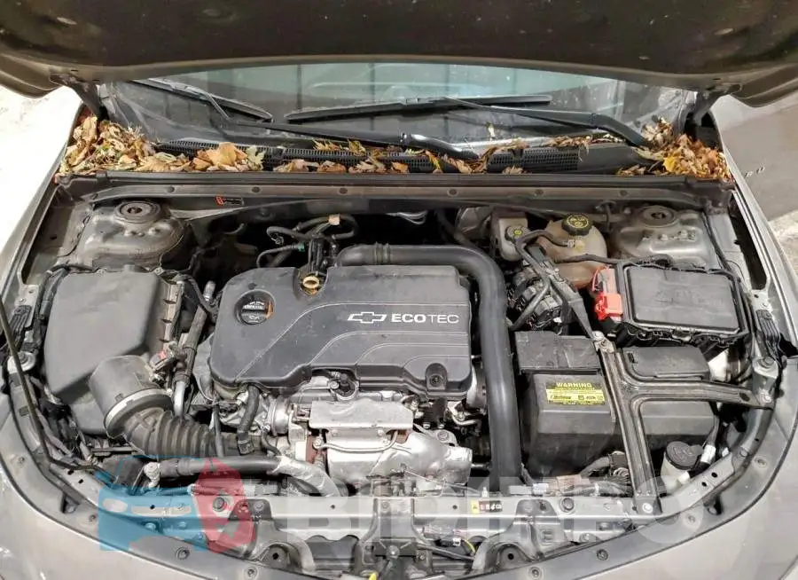 1G1ZD5ST6JF161380 Photo# 11