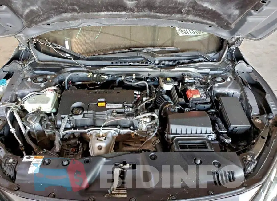 2HGFC2F67KH505784 Photo# 11