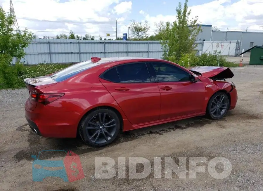 19UUB1F68LA800543 Photo# 3