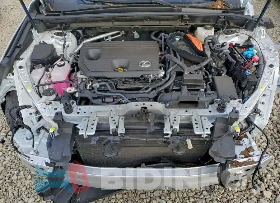 JTJGKCEZ1S2042084 Photo# 12
