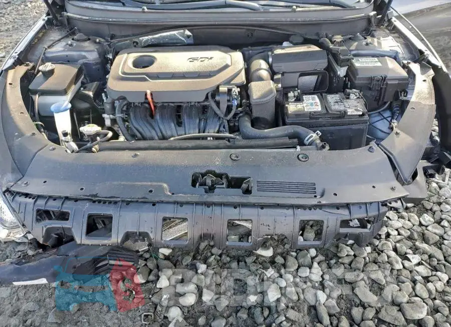 5NPE34AF6KH799182 Photo# 11