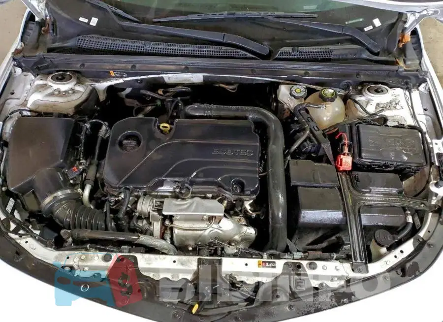 1G1ZD5ST6PF189933 Photo# 11