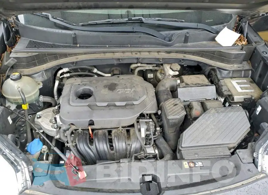 KNDPN3AC1H7032274 Photo# 12