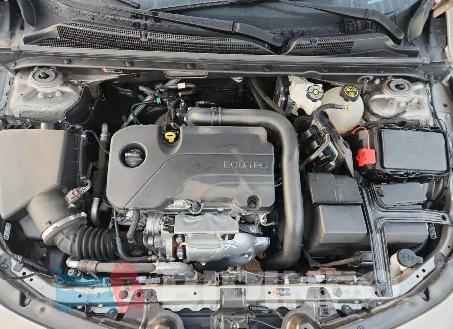 1G1ZD5ST5PF247577 Photo# 11