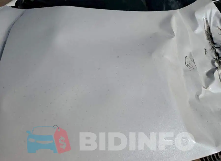19XFC1F91HE018149 Photo# 11