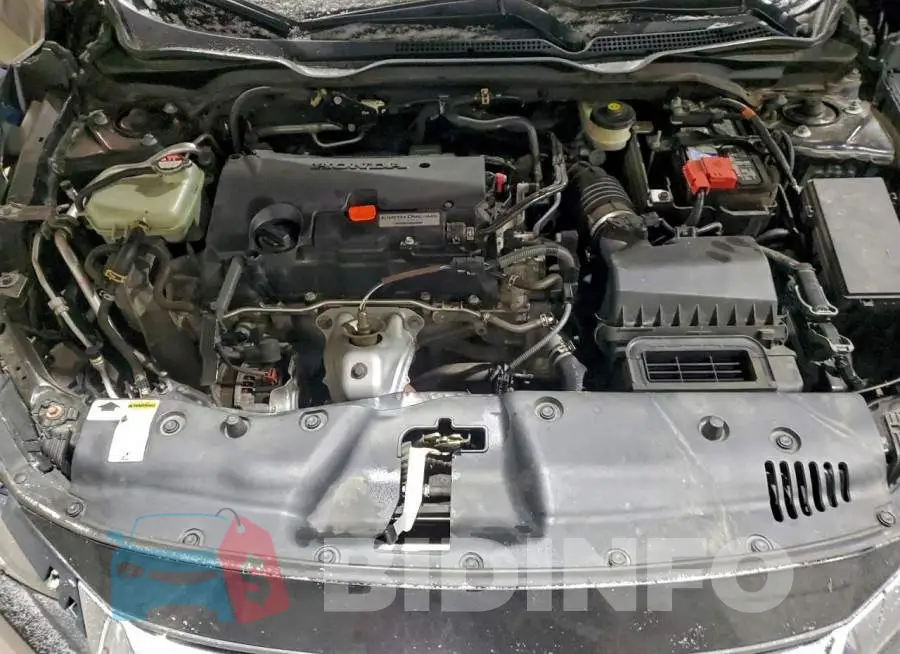 19XFC2F57HE231738 Photo# 11