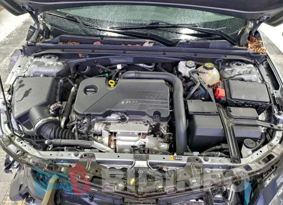 1G1ZD5ST6PF203832 Photo# 11