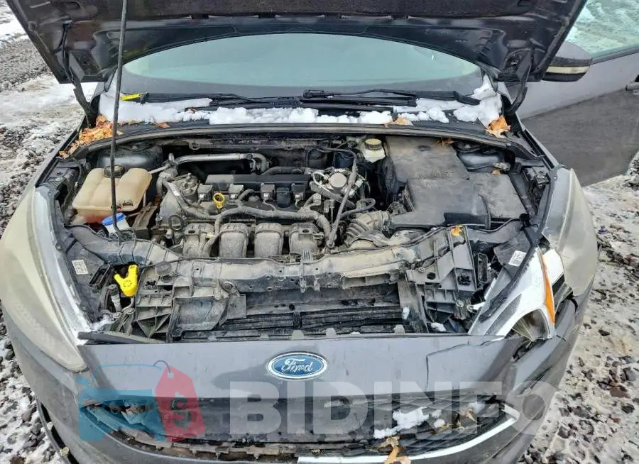 1FADP3F22HL303594 Photo# 11