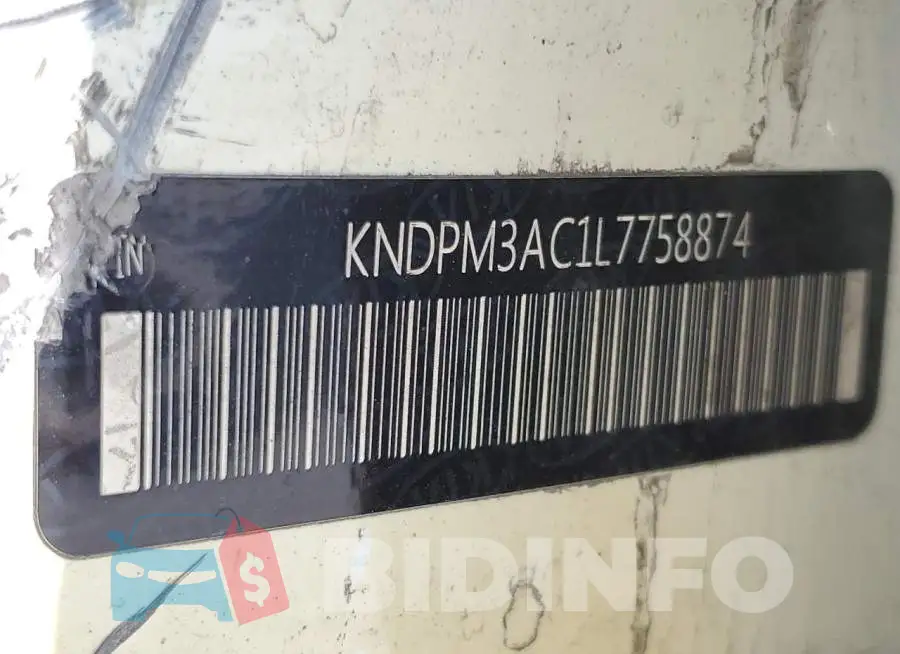 KNDPM3AC1L7758874 Photo# 13