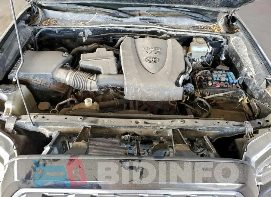 3TMCZ5AN1MM420783 Photo# 12