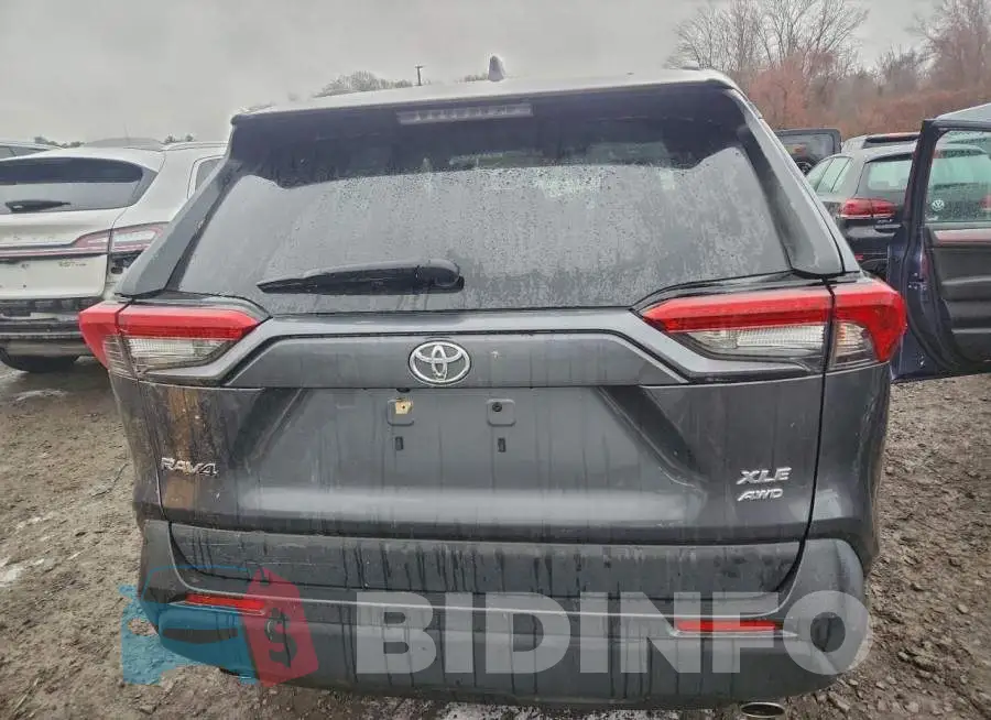 JTMP1RFV5KD015804 Photo# 6