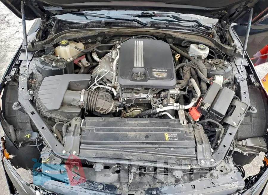 1G6DB5RK9L0138530 Photo# 11