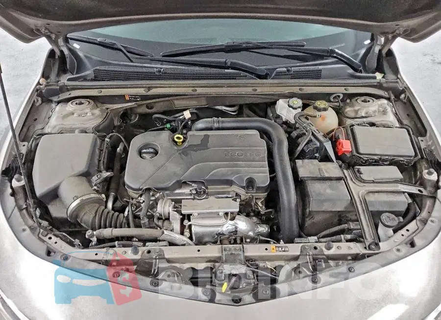 1G1ZD5ST1RF155983 Photo# 11