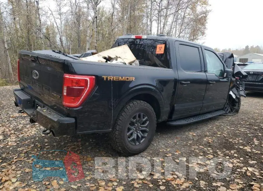 1FTEW1E86PFD16082 Photo# 3