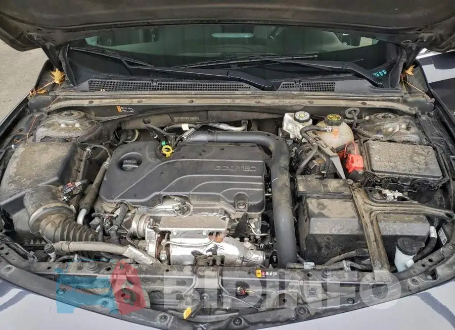 1G1ZD5ST6PF183873 Photo# 11