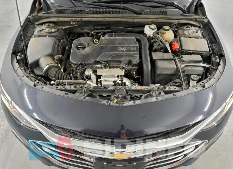 1G1ZD5ST9PF175704 Photo# 11