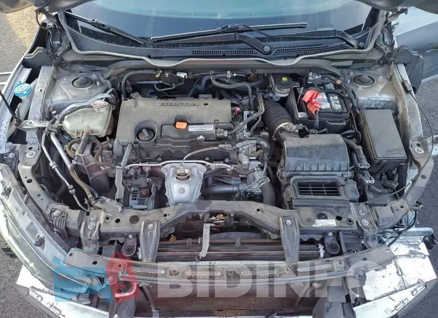 19XFC2F84LE212518 Photo# 11