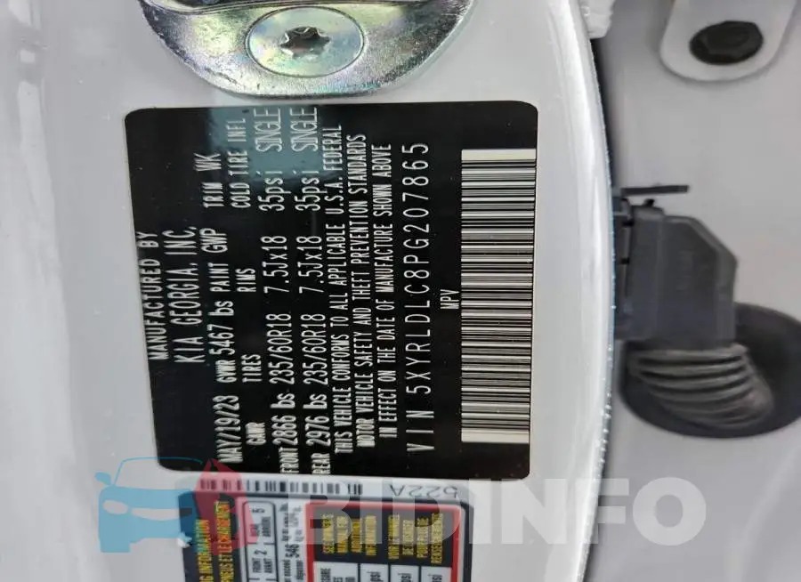 5XYRLDLC8PG207865 Photo# 13