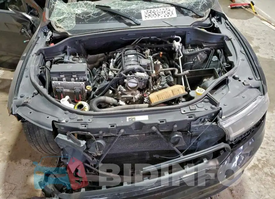 1C4SDJCT6KC820769 Photo# 12